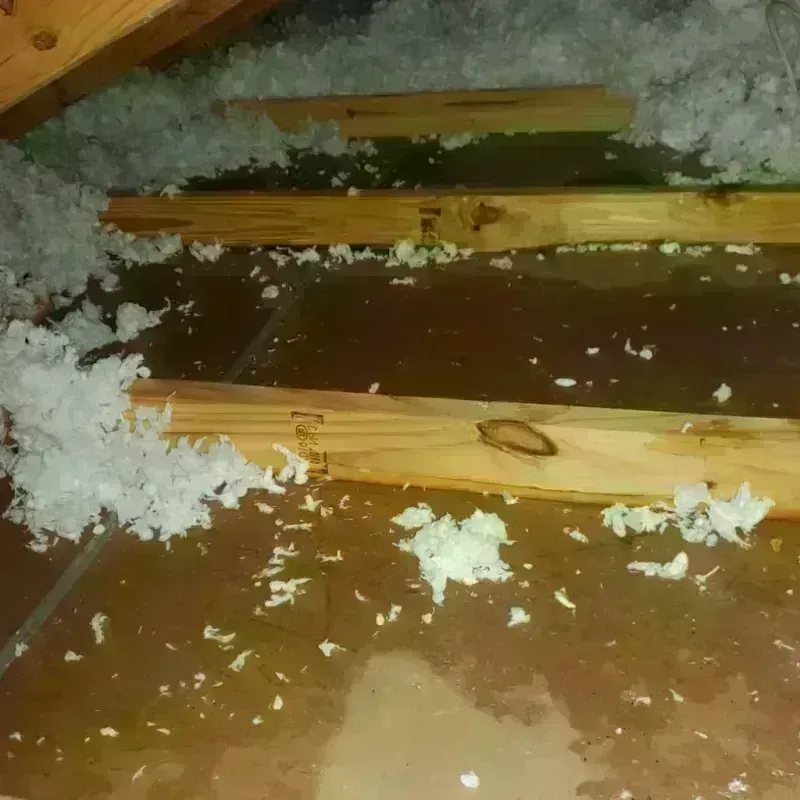 Attic Water Damage in Waterford, NY