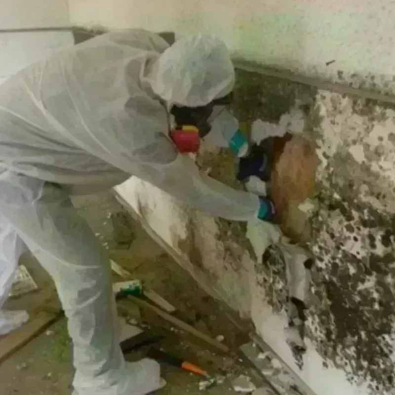 Mold Remediation and Removal in Waterford, NY