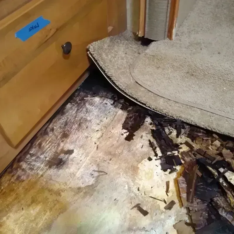 Best Wood Floor Water Damage Service in Waterford, NY